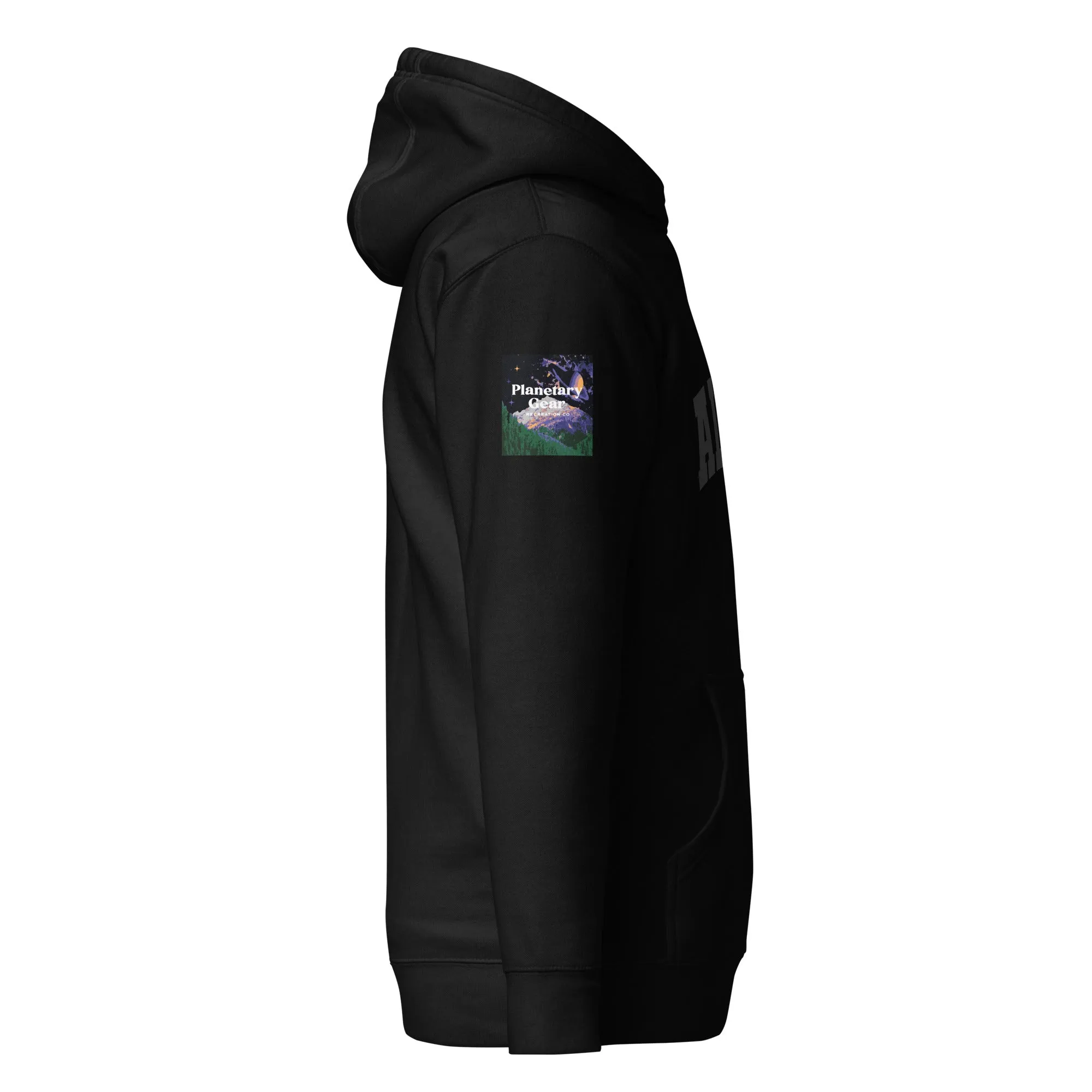Alta Ski hoodie