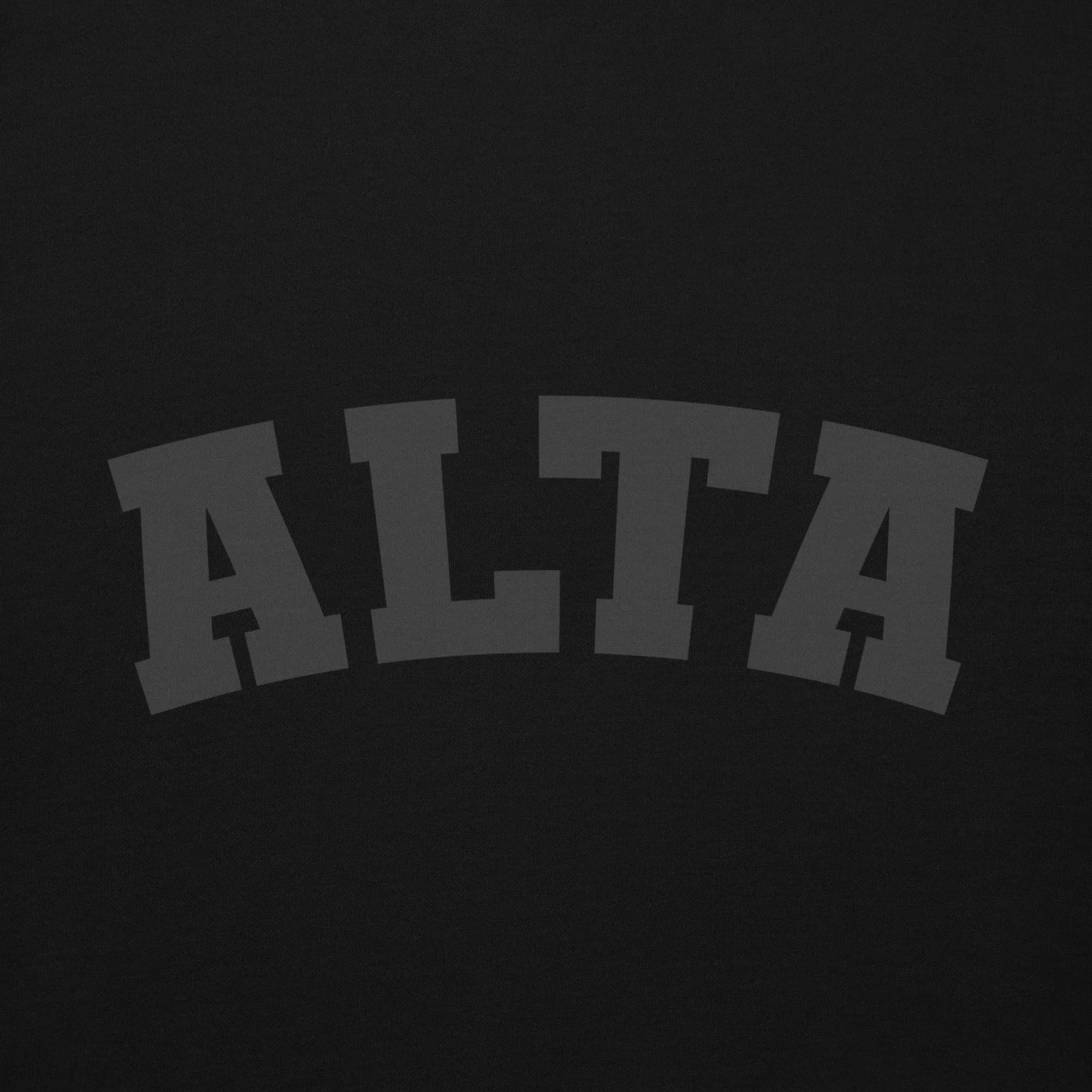 Alta Ski hoodie